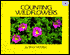 Counting Wildflowers