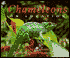 Chameleons: On Location