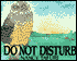 Do Not Disturb