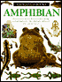 Amphibian