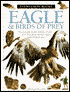 Eyewitness Eagle: Birds of Prey