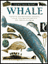Whale