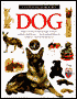 Dog: Eyewitnes Books