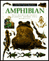 Amphibian