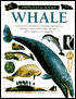Whale: Eyewitness Books