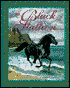 The Black Stallion