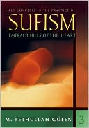 Key Concepts in the Practice of Sufism