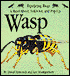 Wasp
