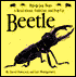 Beetle