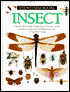 Insect