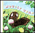 Woolly Bear
