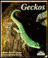 Geckos: Everything About Selection, Care, Nutrition, Diseases, Breeding, & Behavior