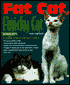 Fat Cat, Finicky Cats