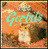 Gerbils