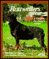 Rottweilers: Everything About Purchase, Care, Nutrition, Breeding, Behavior, & Training