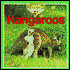 Kangaroos