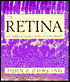 The Retina: An Approachable Part of the Brain