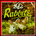 Rabbits