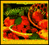 Homegrown Fruit: Simple Secrets for Glorious Gardens, Indoors and Out