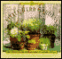 Little Herb Gardens: Simple Solutions for Glorious Gardens - Indoors and Out