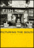 Picturing the South