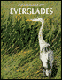 Everglades