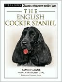 English Cocker Spaniel