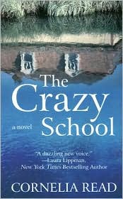 The Crazy School (Madeline Dare Series #2)
