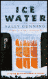 Ice Water (A Peter Bartholomew Mystery)