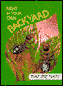 Right in Your Own Backyard: Nature Math