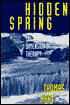 Hidden Spring: The Spiritual Dimension of Therapy