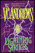 Lightning Strikes (Hudson Series #2)