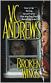 Broken Wings (Broken Wings Series #1)
