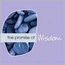 download The Promise of Wisdom book