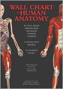 Wall Chart of Human Anatomy: 3D Full-Body Images and Detailed System Charts