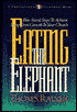 Eating the Elephant: Bite-Sized Steps to Achieve Long-Term Growth in Your Church