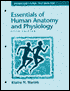 Essentials Human Anatomy and Physiology