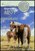 Misty of Chincoteague