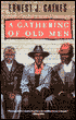 A Gathering of Old Men