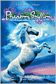 Snowfire (Phantom Stallion: Wild Horse Island Series #9)