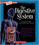 Digestive System