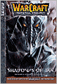 Warcraft: The Sunwell Trilogy, Volume 2