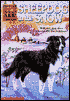 Sheepdog in the Snow: (Animal Ark Series #7)