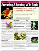download Attracting & Feeding Wild Birds (Quamut) book