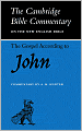 The Gospel according to John