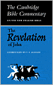 The Revelation of John