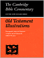 Old Testament Illustrations