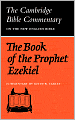 The Book of the Prophet Ezekiel