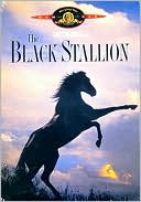 The Black Stallion with Kelly Reno
