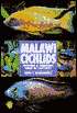 The Guide to Owning Malawi Cichlids